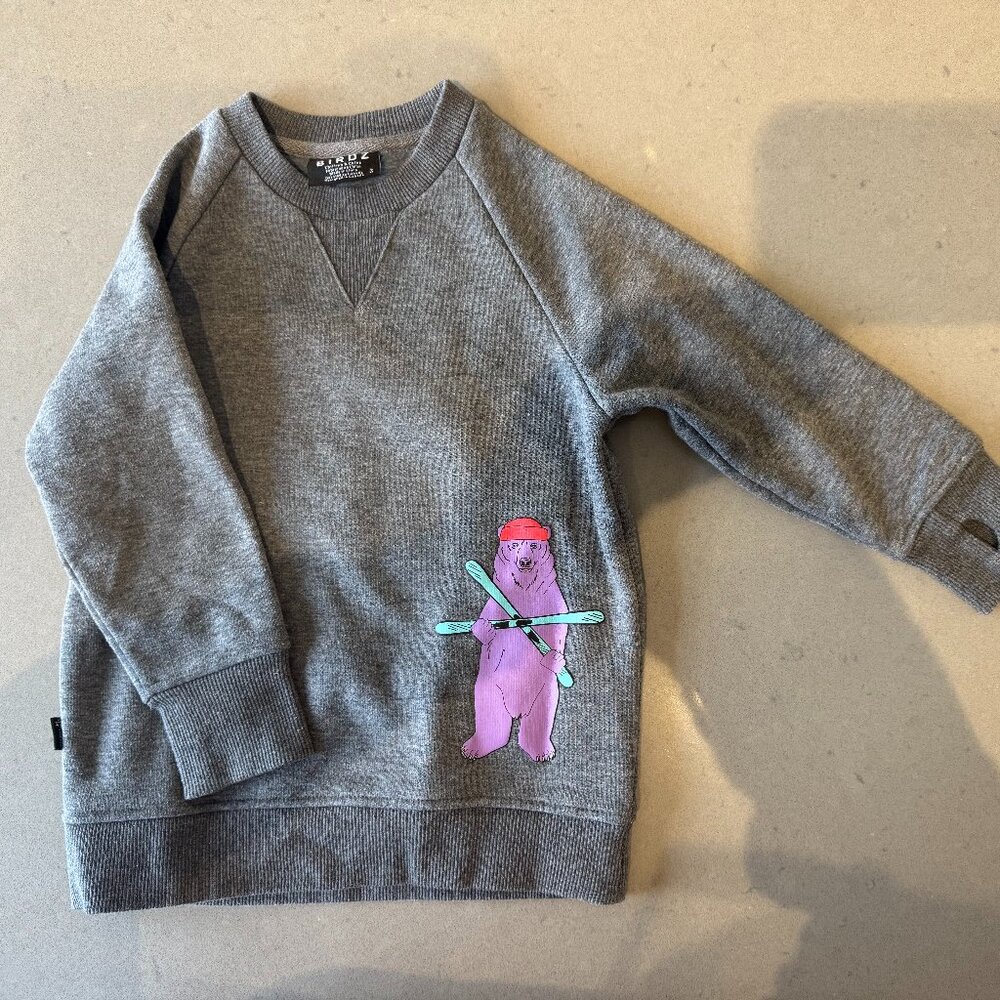 Birdz Crewneck sweater with Ski bear Pattern, size 3T